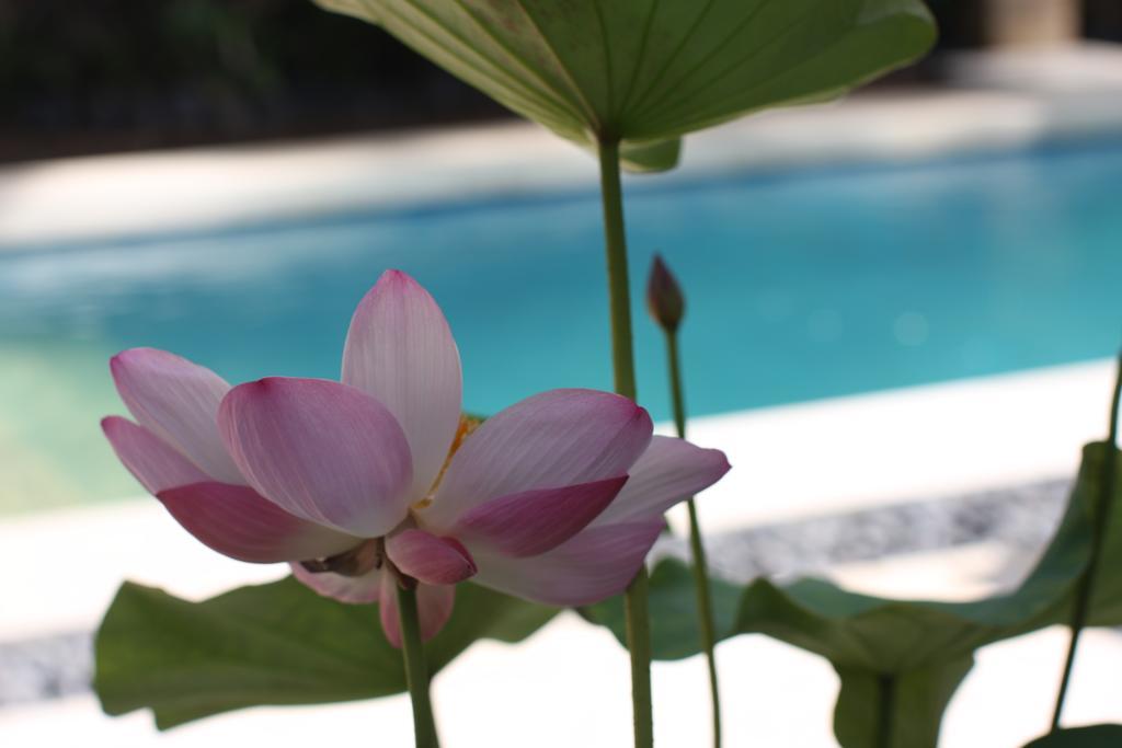 Villa Alu Lima เซมินยัค ห้อง รูปภาพ
