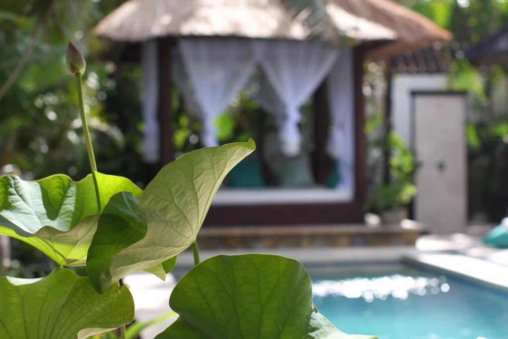 Villa Alu Lima เซมินยัค ภายนอก รูปภาพ