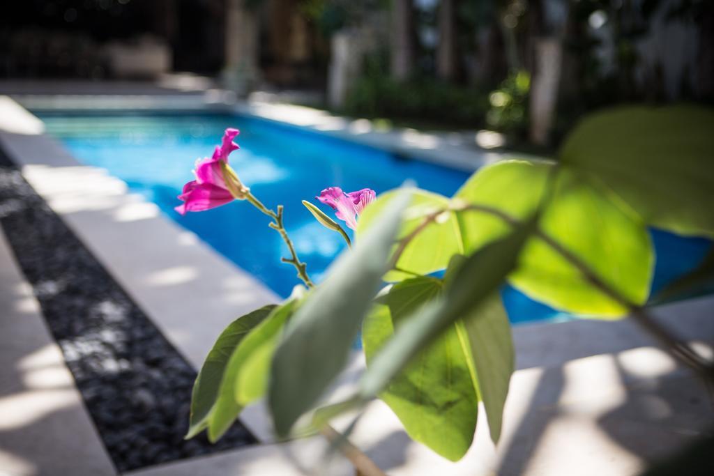 Villa Alu Lima เซมินยัค ห้อง รูปภาพ